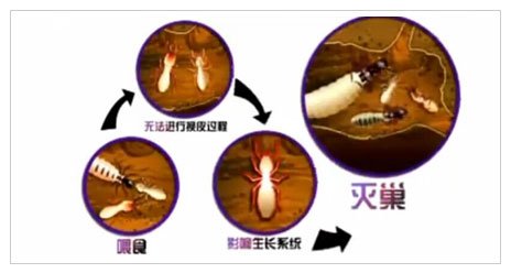 施工播報(bào)